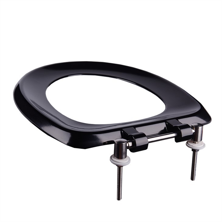 black plastic toilet seat
