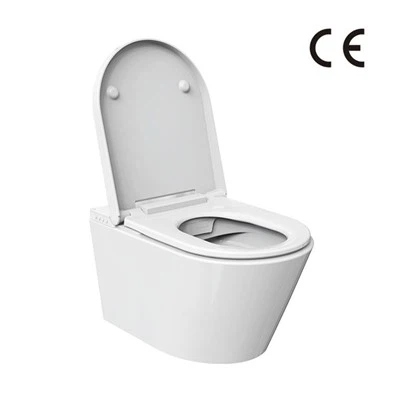 Toilet og bidet i ét