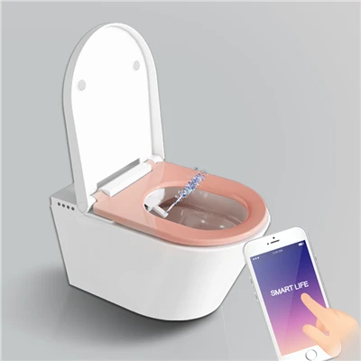 Væghængt toilet med bidet